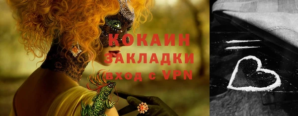 твердый Абаза