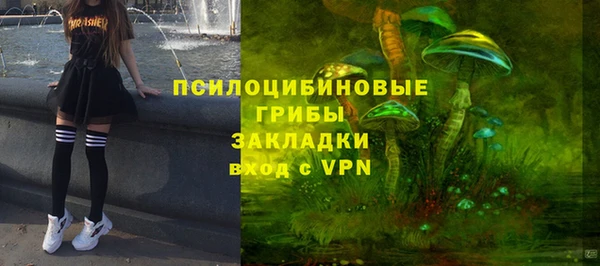 твердый Абаза