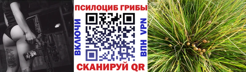 Псилоцибиновые грибы Magic Shrooms  Княгинино 